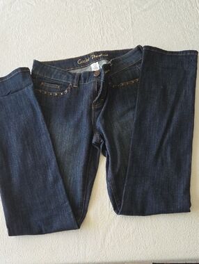 Y2K Cache Premium Women’s Dark Blue Straight Leg Jeans